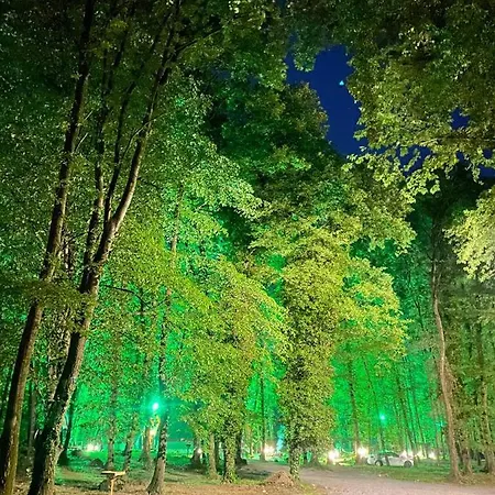 ベッド・アンド・ブレックファスト Meselik Park